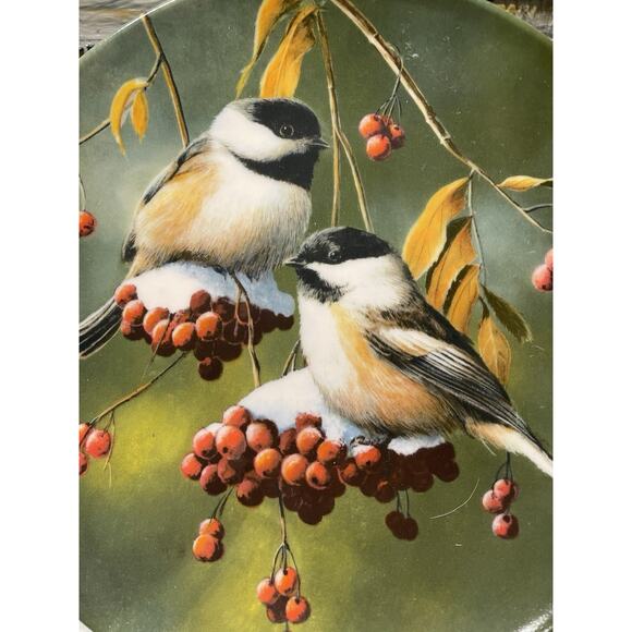 Vintage 5 Encyclopedia Britannica Birds Of Your Garden Collector Plates Knowles - Picture 2 of 12